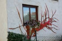 OlgaBig - Hody na Kamence 2013