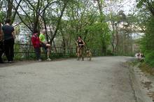 Jarní běh Kamenkou 2014