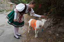 Petr Vozák: Hody na Kamence 2015