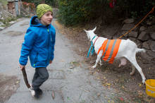 Petr Vozák: Hody na Kamence 2015