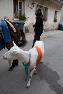 Petr Vozák: Hody na Kamence 2015