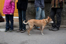 Petr Vozák: Hody na Kamence 2015