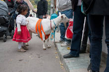 Petr Vozák: Hody na Kamence 2015