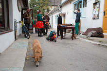 Petr Vozák: Hody na Kamence 2015