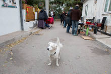 Petr Vozák: Hody na Kamence 2015