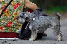 Podzimní běh Kamenkou 2015