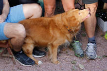 Podzimní běh Kamenkou 2015