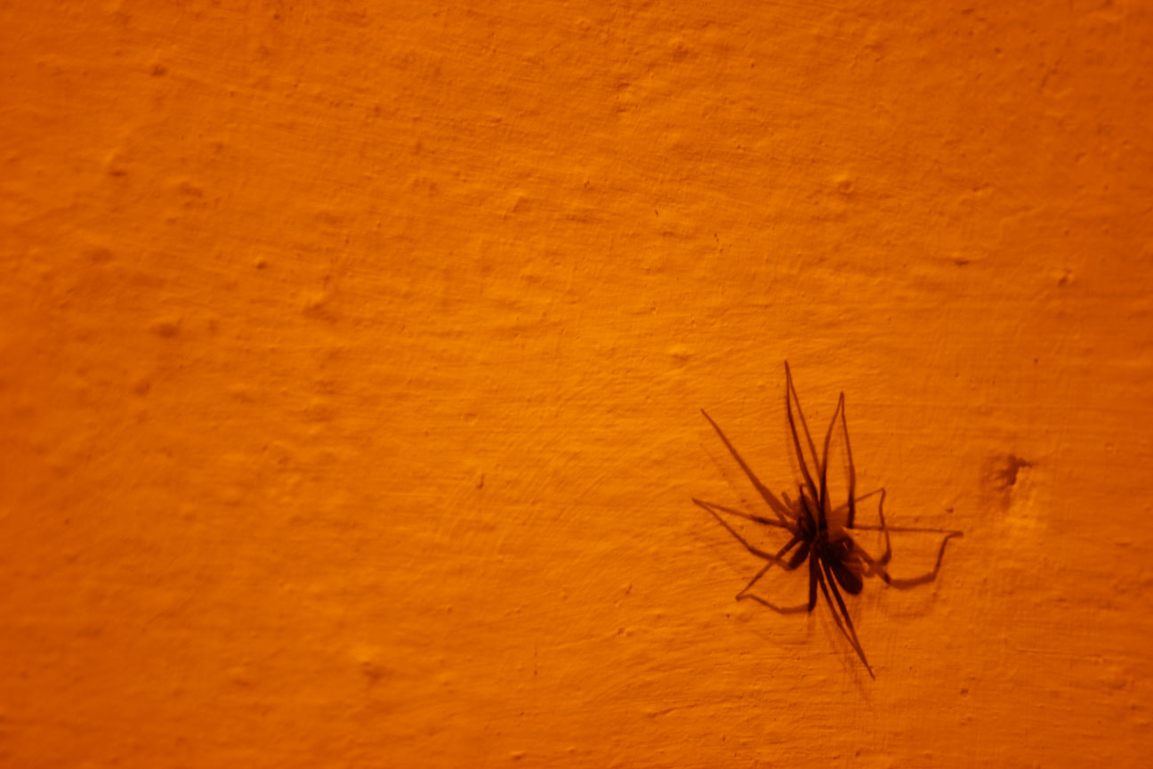 Podzimní běh Kamenkou 2015