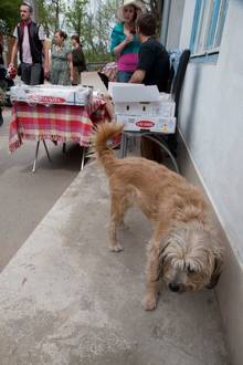 1. Máj 2016 v Kamence