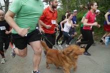 Jarní běh Kamenkou 2016