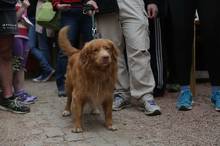 Jarní běh Kamenkou 2016