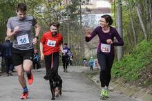 Jarní běh Kamenkou 2017
