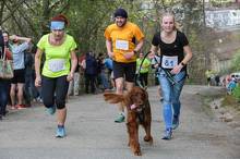 Jarní běh Kamenkou 2017