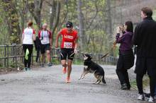 Jarní běh Kamenkou 2017