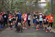 Jarni beh Kamenkou 2019