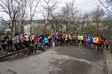 Jarni beh Kamenkou 2019