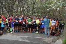 Jarni beh Kamenkou 2019