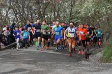 Jarni beh Kamenkou 2019