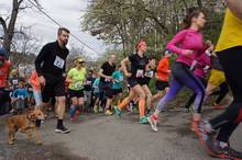 Jarni beh Kamenkou 2019