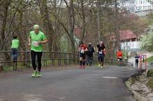 Jarni beh Kamenkou 2019