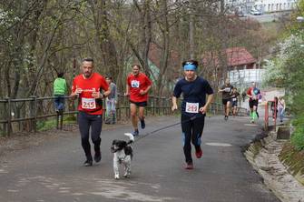 Jarni beh Kamenkou 2019