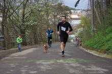 Jarni beh Kamenkou 2019