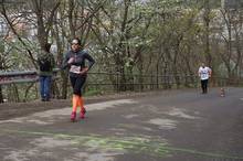 Jarni beh Kamenkou 2019