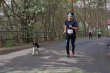 Jarni beh Kamenkou 2019