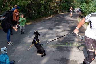 Podzimni beh Kamenkou 2019
