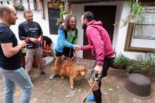 Podzimni beh Kamenkou 2019