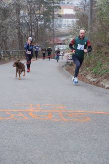 Jarní běh Kamenkou 2022