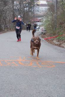 Jarní běh Kamenkou 2022