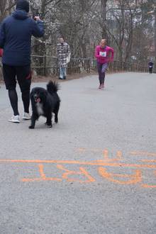 Jarní běh Kamenkou 2022