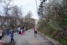 Jarní běh Kamenkou 2023