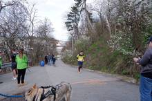 Jarní běh Kamenkou 2023