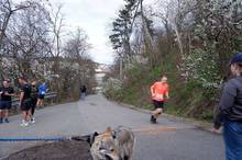 Jarní běh Kamenkou 2023