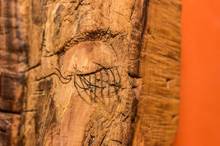 Josef Kanar Pšenčík