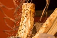 Josef Kanar Pšenčík