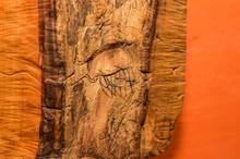 Josef Kanar Pšenčík