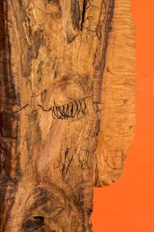 Josef Kanar Pšenčík